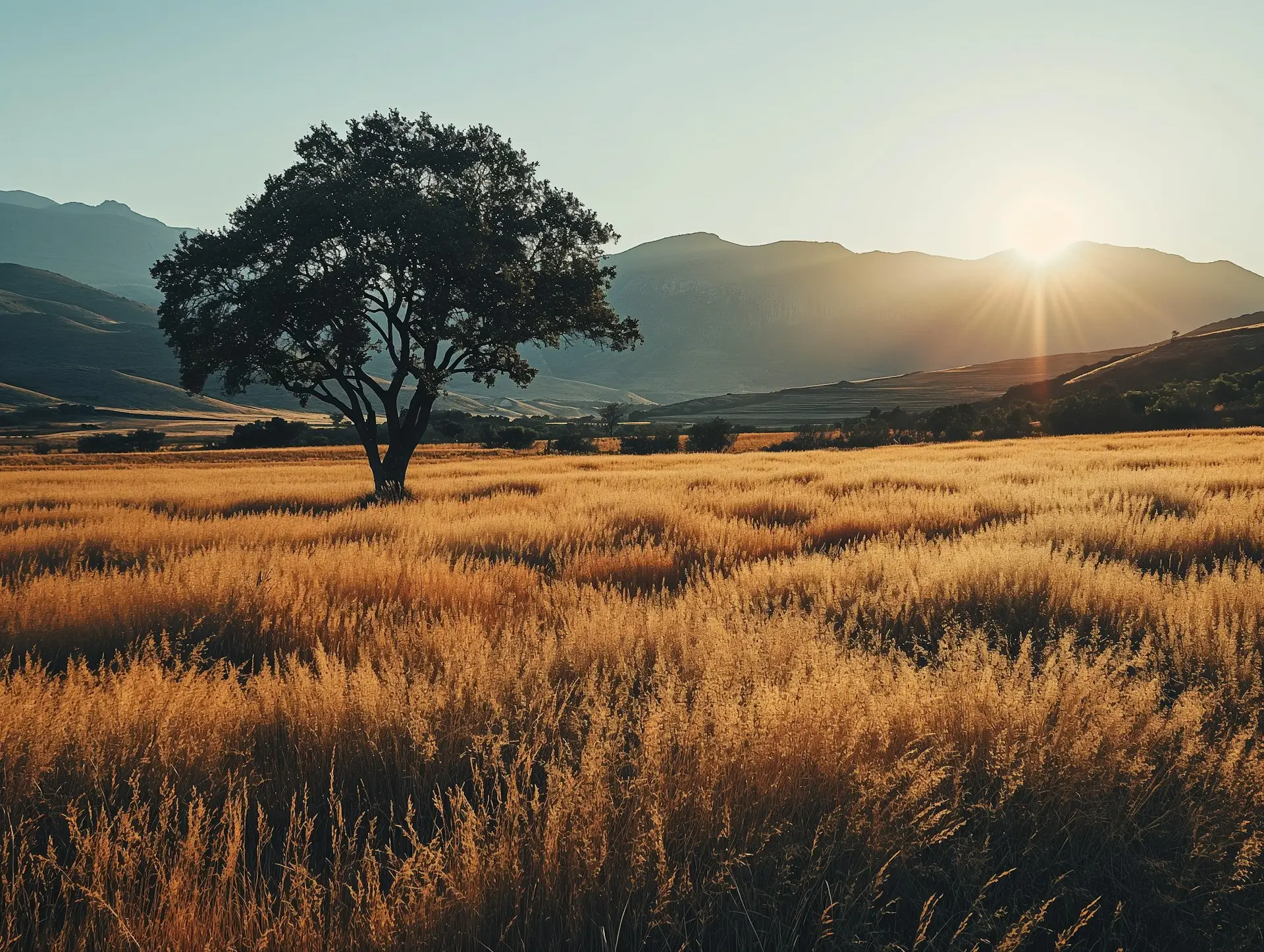 Is Your Business Ready for 2026? A 5-Step Year-End Digital Checkup for Ugandan Entrepreneurs